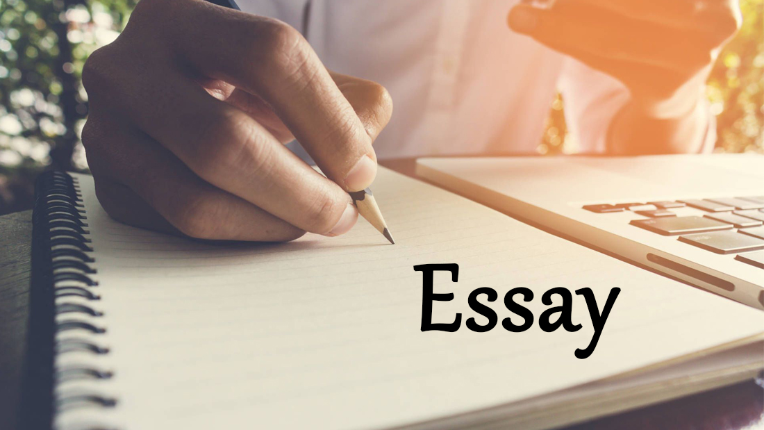 Essay